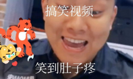 视频搞笑,让你笑到肚子疼